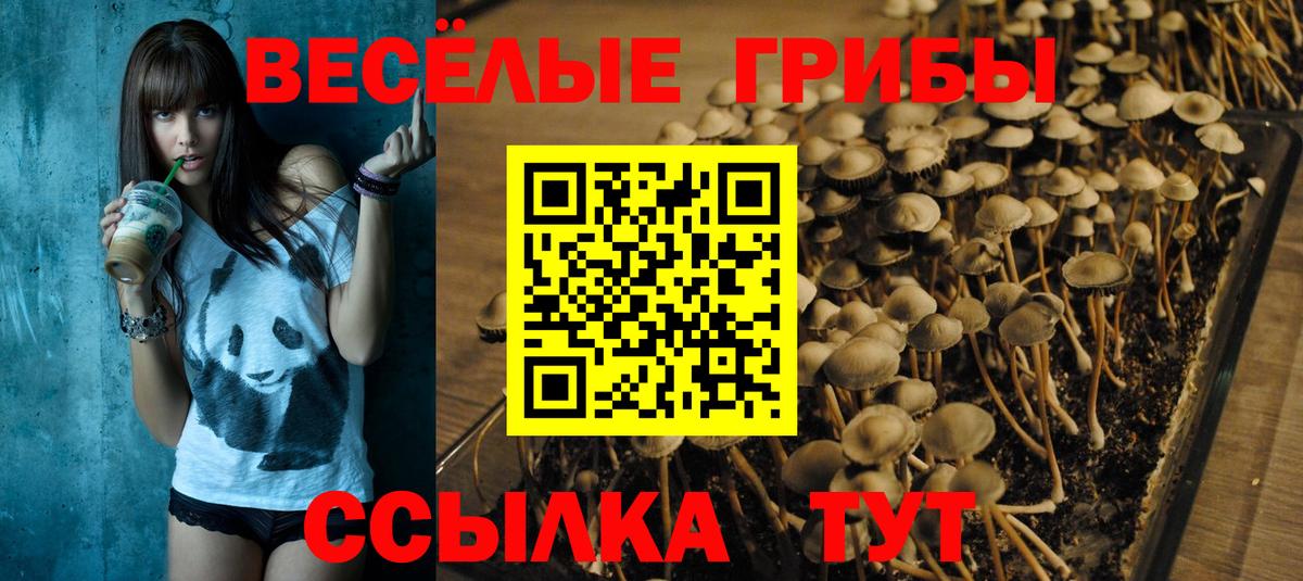 Галлюциногенные грибы ЛСД Сочи